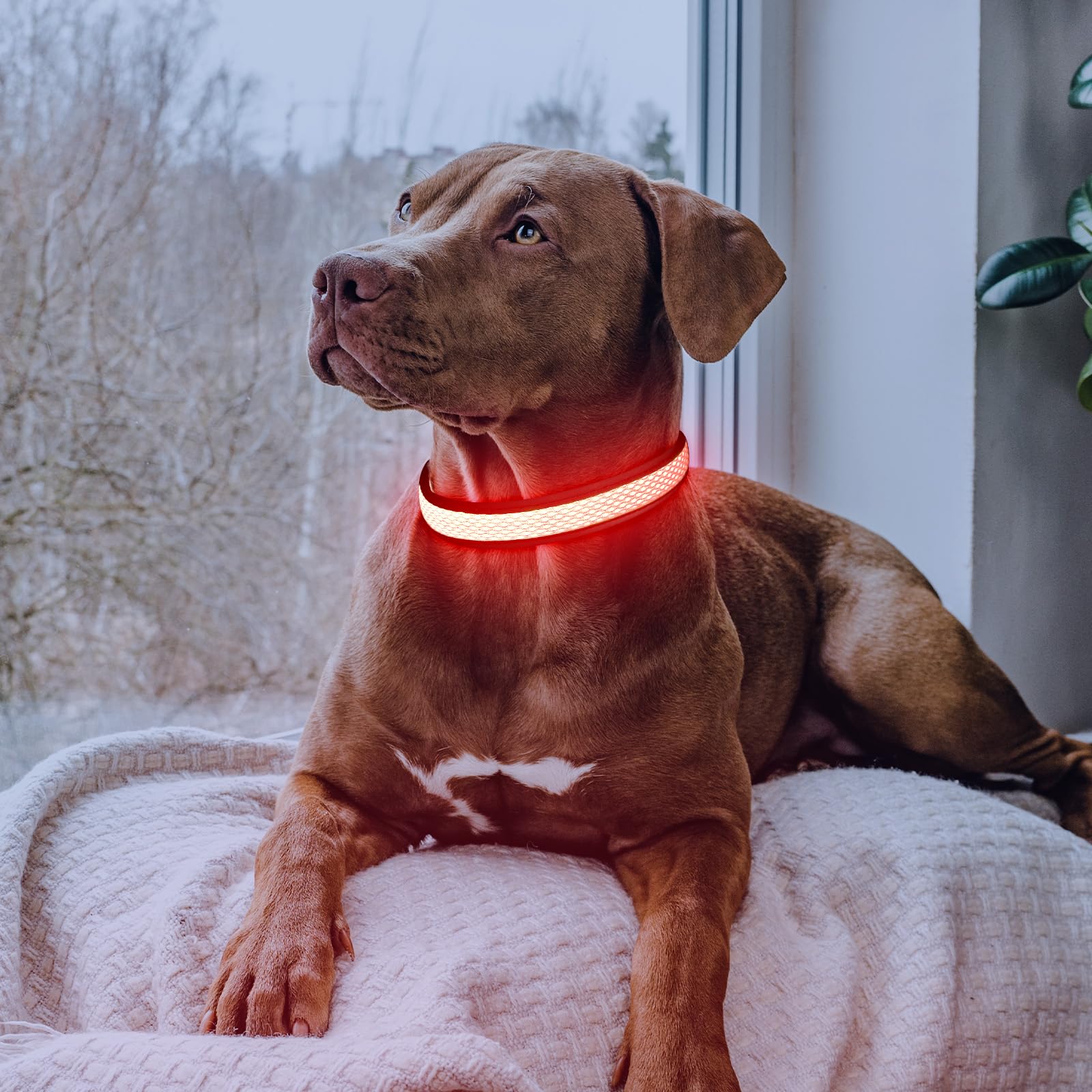 Flashseen comparaison de taille M pour ajustement et confort optimal