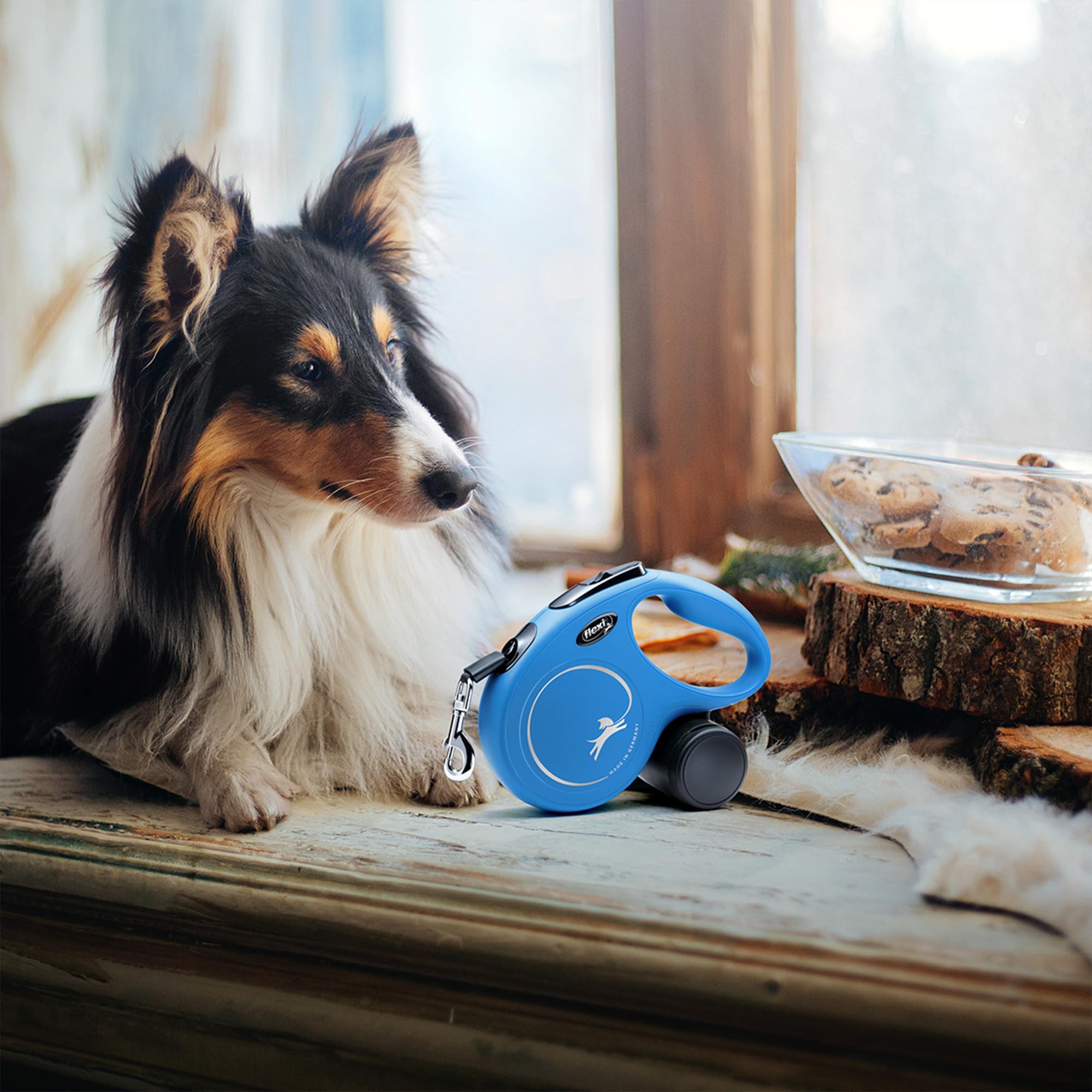 FLEXI en parc avec petit chien liberté contrôlée et exploration sûre