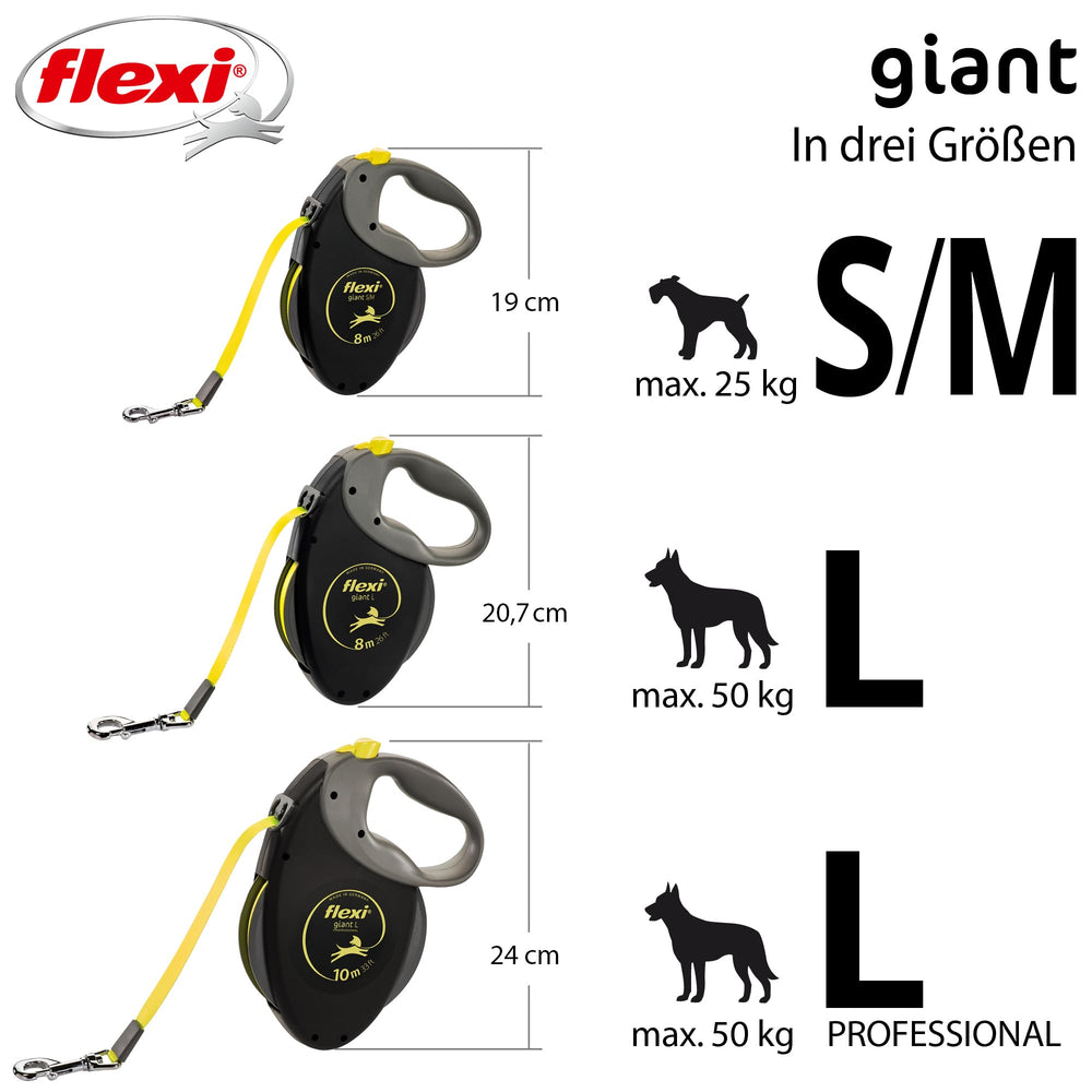 FLEXI comparaison taille illustrant longueur 10 m et échelle claire