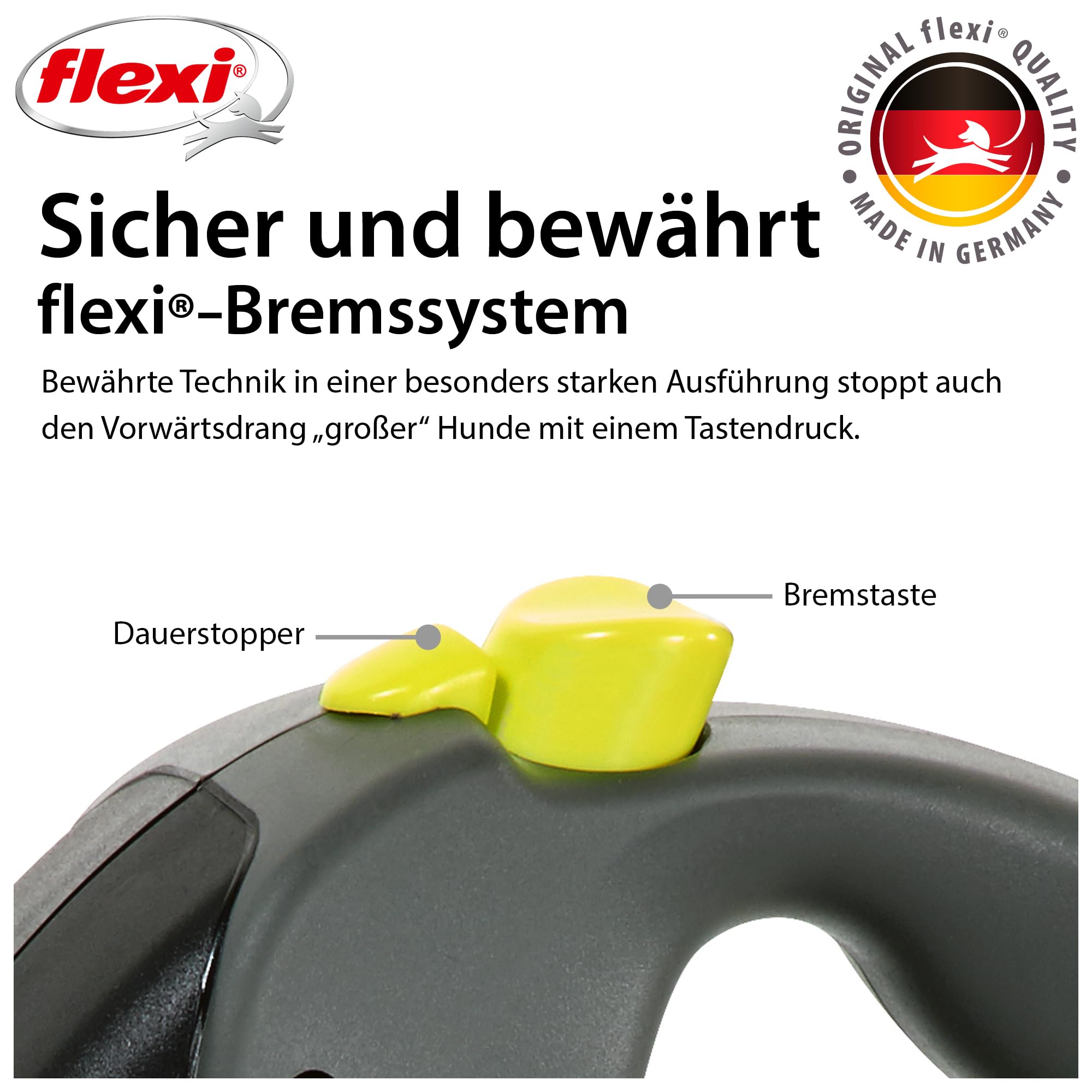 FLEXI laisse déployée 10 m montrant amplitude de mouvement pour chien
