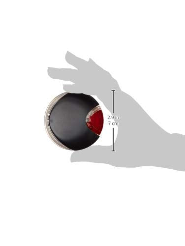 FLEXI lampe en promenade nocturne illustrant sécurité pour propriétaire et chien