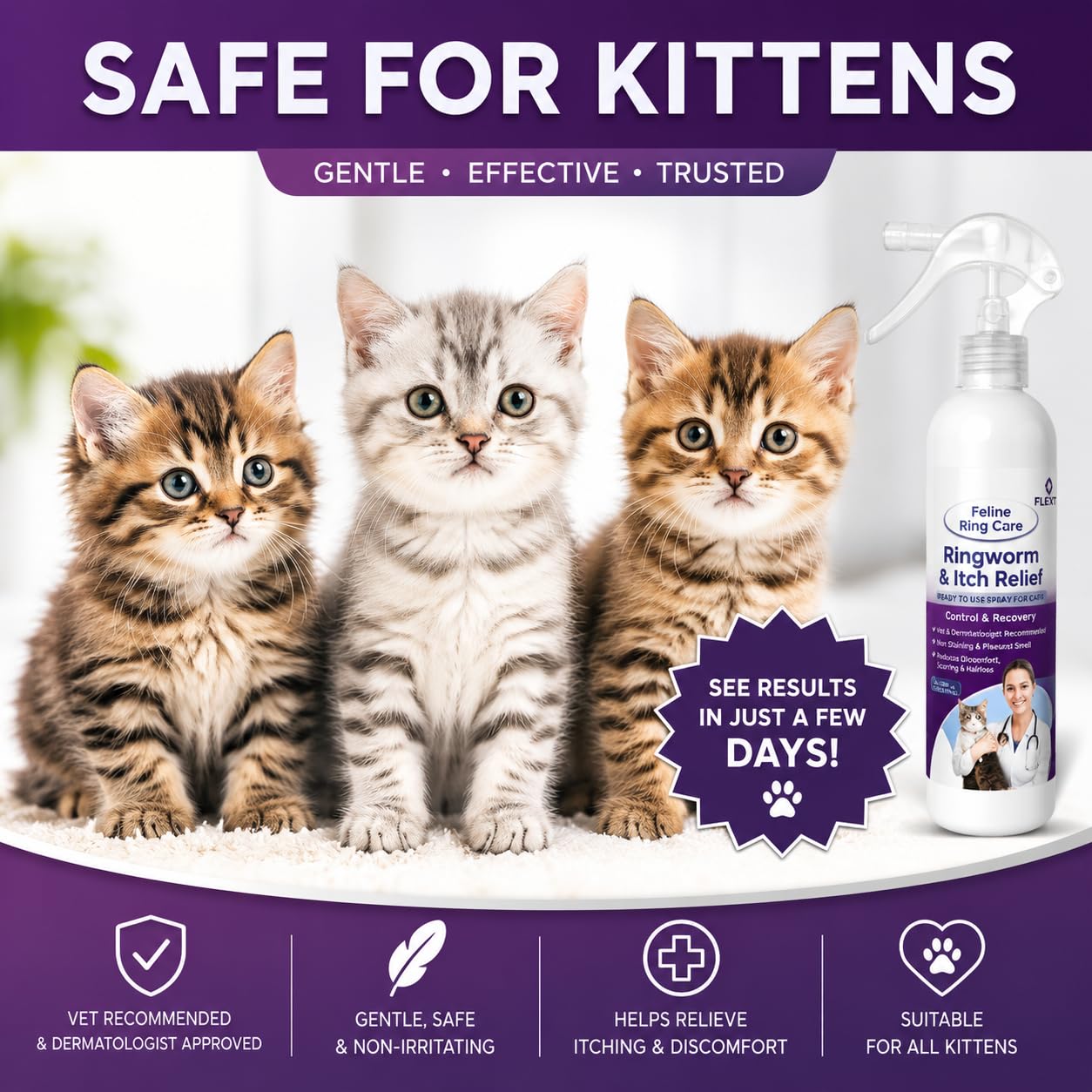 FlexTran Feline Ring Care dans un intérieur animalier illustrant usage quotidien
