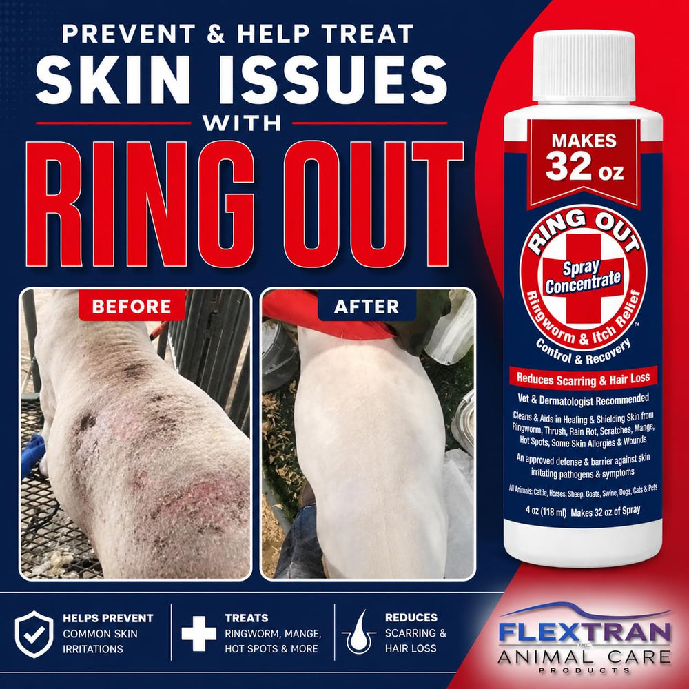 Texture moussante du Ring Out Shampoo FlexTran pour nettoyage doux et efficace