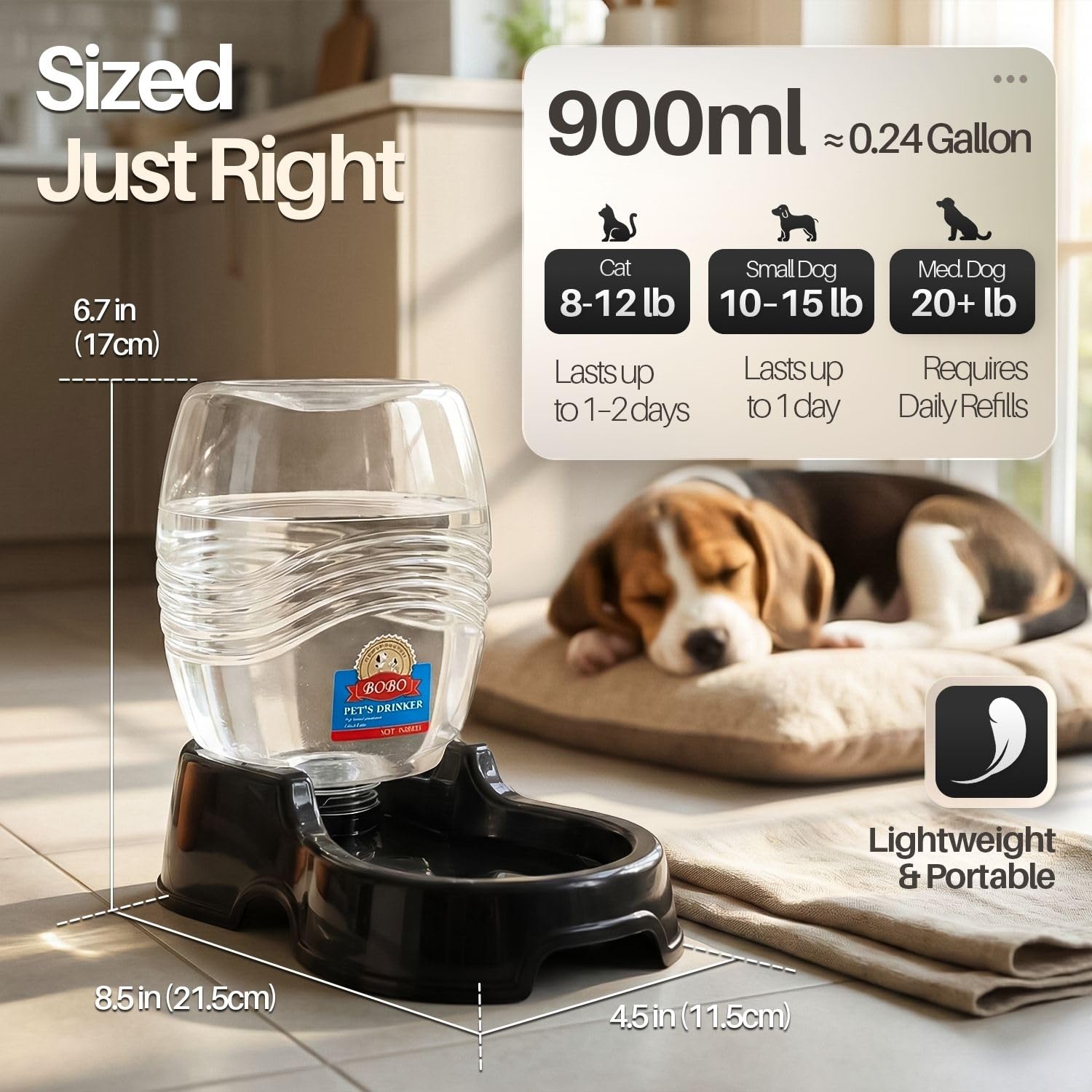Flexzion chat buvant confortablement montrant accès aisé à l'eau