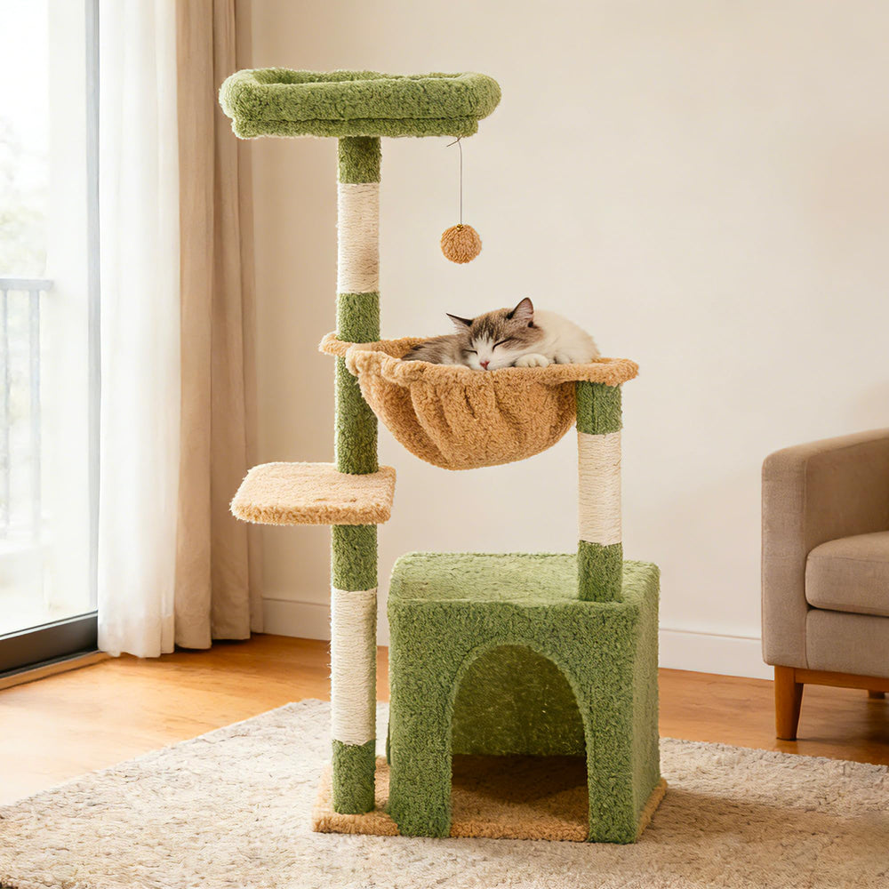 FlickTail comparaison taille avec chat pour visualiser l’échelle