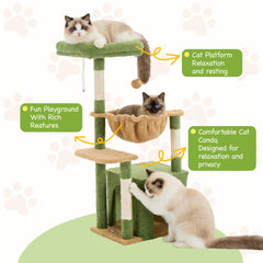 FlickTail plateformes multiples pour grimper et observer