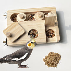 FlidRunest boîte foraging vue de face montrant zones à ouvrir et bénéfice de stimulation