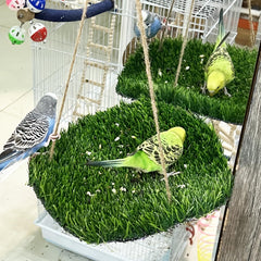 FlidRunest gros plan texture d’herbe synthétique durable et stimulante