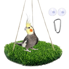 FlidRunest tapis en usage avec perruche explorant friandises cachées