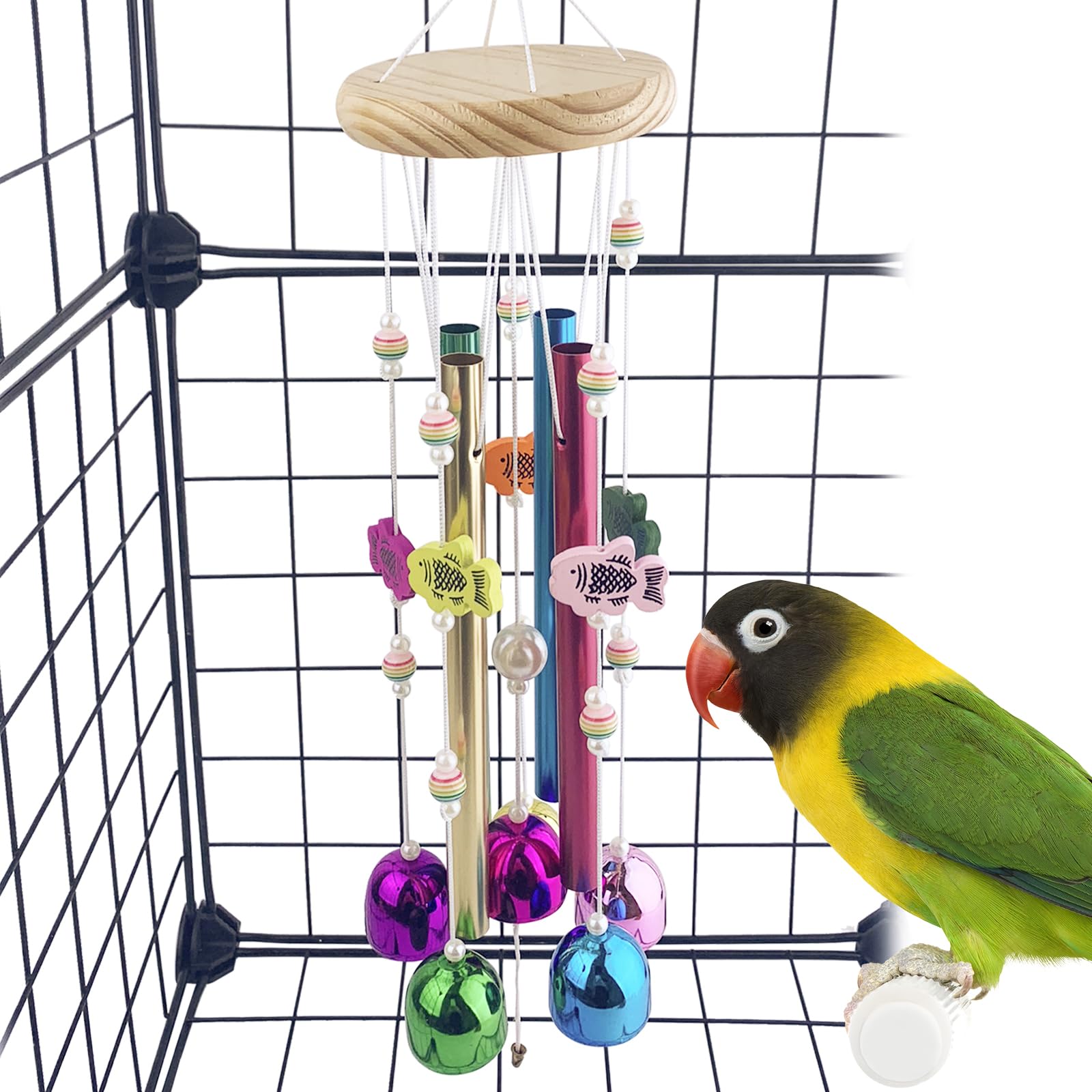 FlidRunest suspendu dans une cage, amuse et stimule durablement l'oiseau