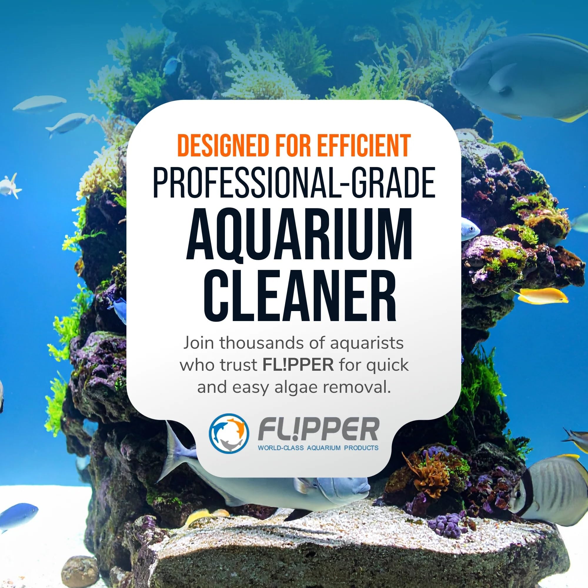 FL!PPER lame dans environnement aquariophile prêt à l'emploi propre