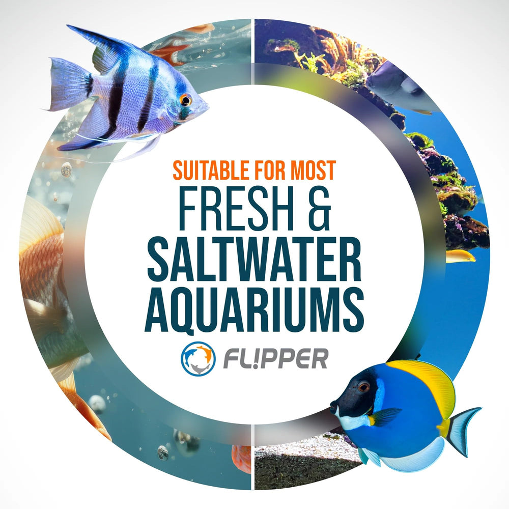 FLIPPER Nano en situation d'aquarium montrant vitre claire et esthétique améliorée