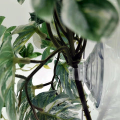 FLmoving texture du rhizome montrant durabilité et adhérence