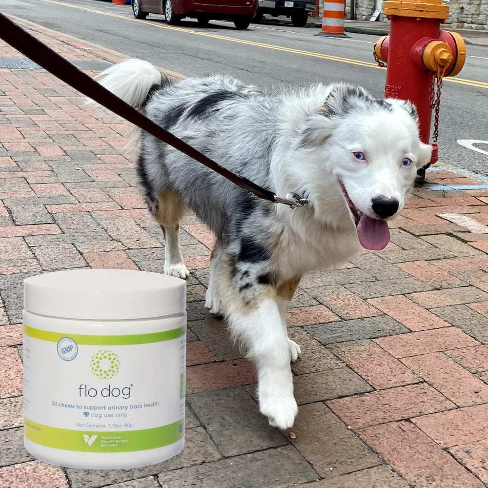 Veterinarian Recommended Solutions étiquette Flo Dog Cranberry lisible pour informations nutritionnelles