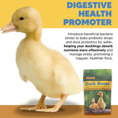 Flock Pro gros plan sur granules microencapsulés favorisant la digestion