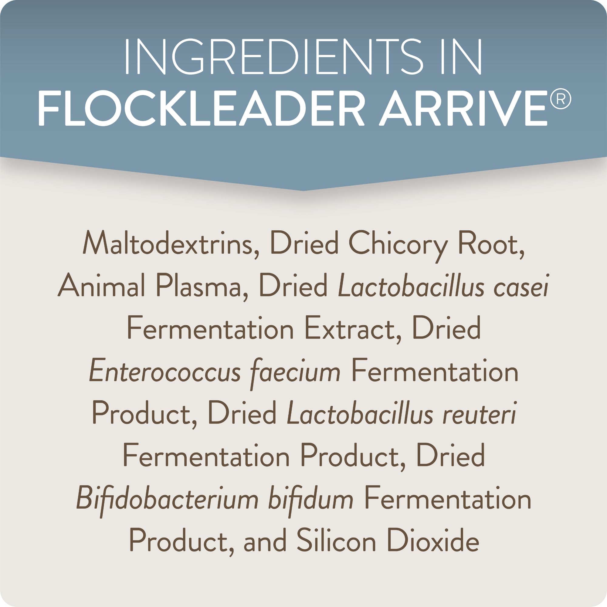 Comparaison d’échelle du pot FLOCKLEADER Arrive 8 oz montrant le format pratique
