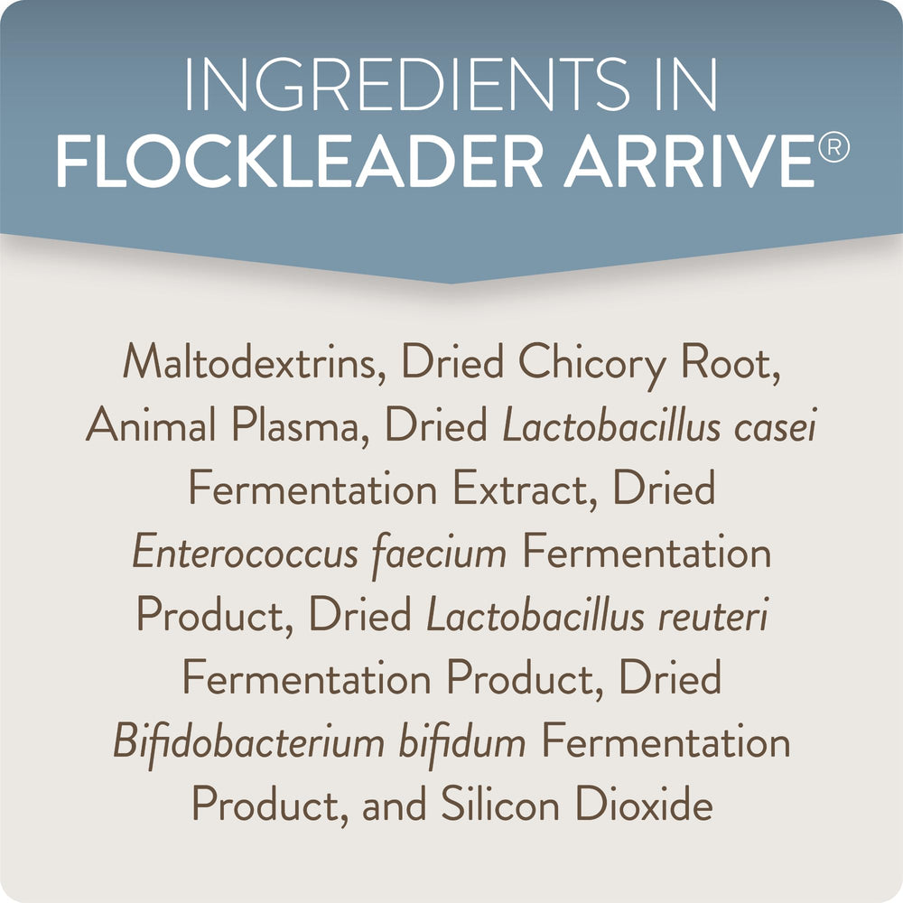 Comparaison d’échelle du pot FLOCKLEADER Arrive 8 oz montrant le format pratique