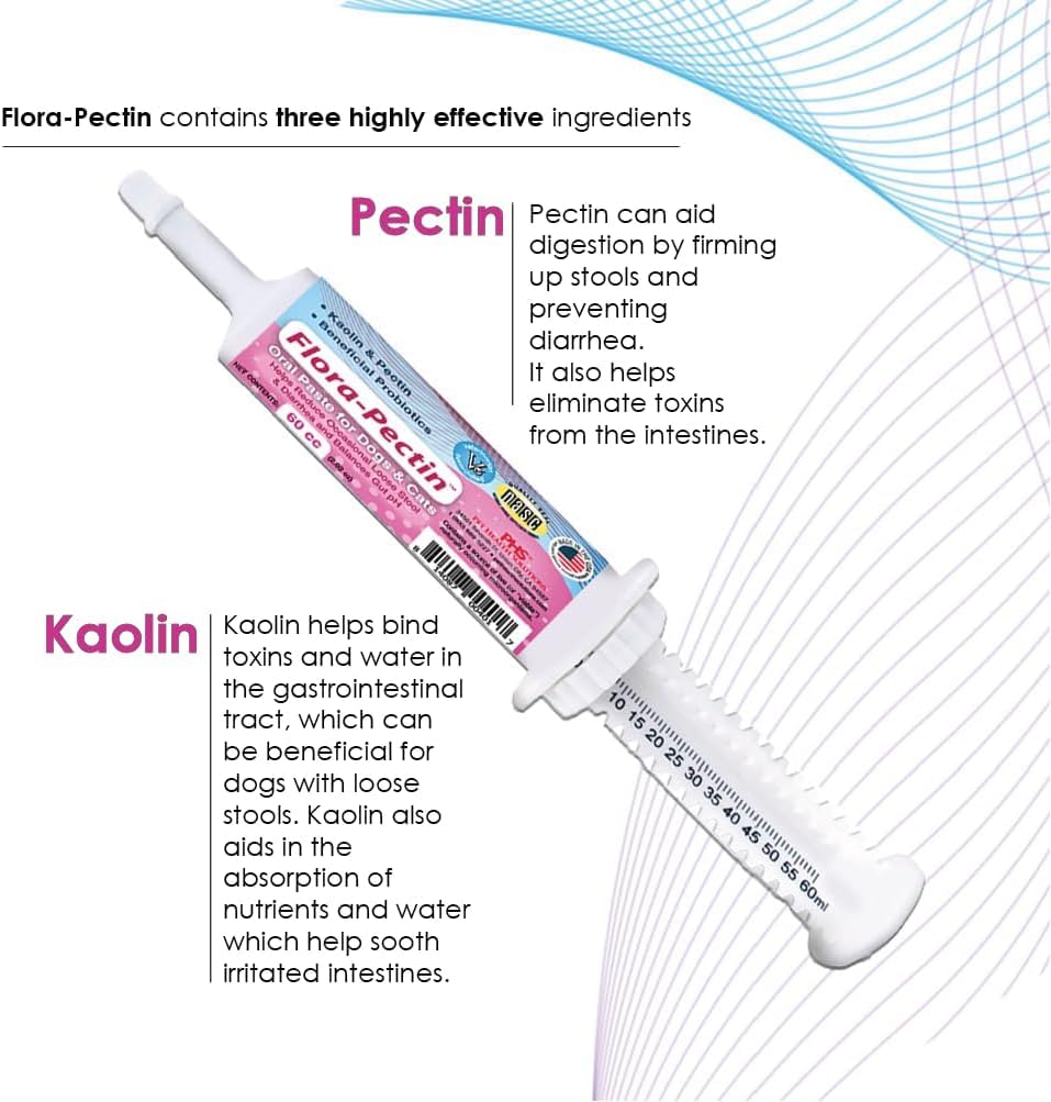 FLORA-PECTIN administration à un chat facilitée grâce au goût poulet
