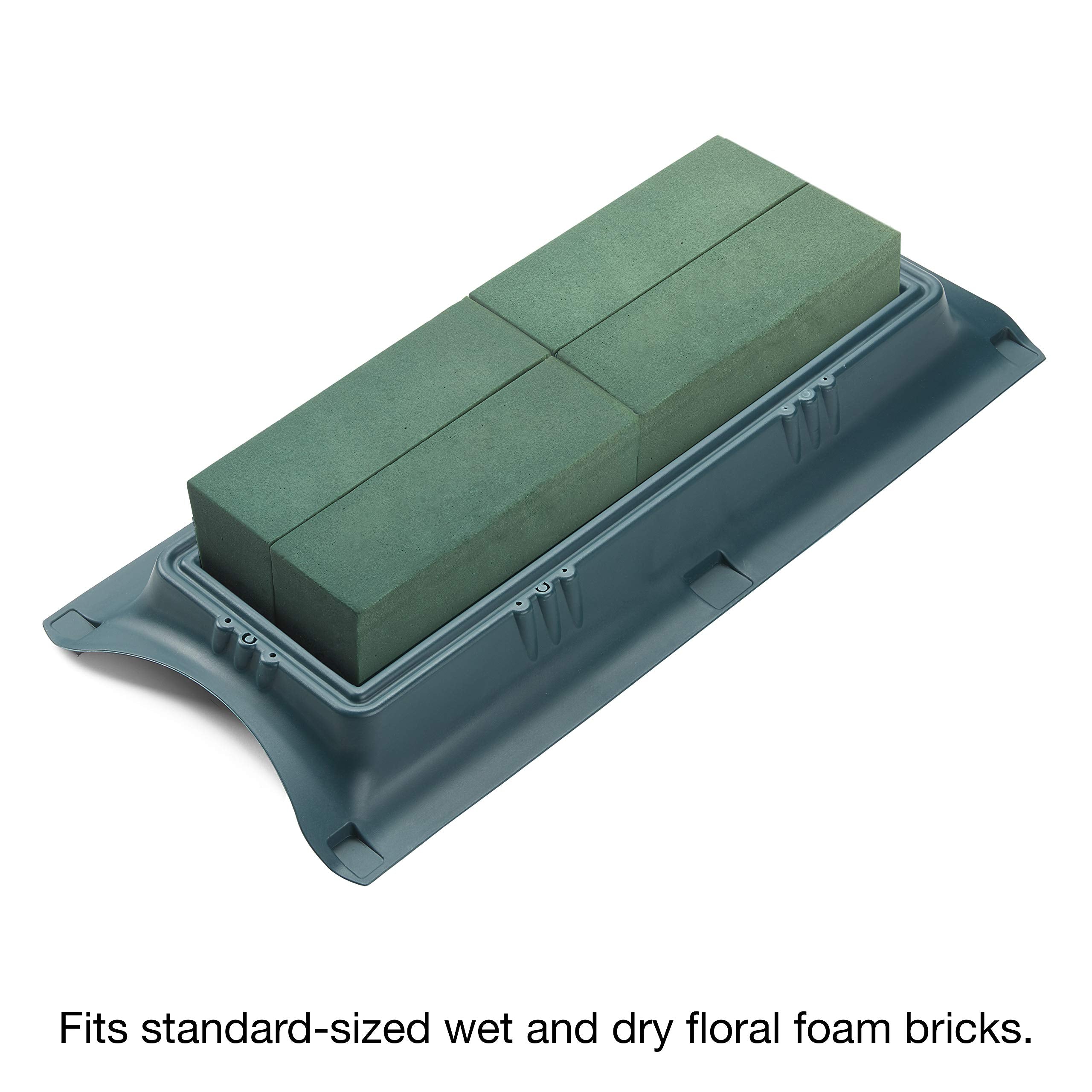 FloraCraft comparaison échelle à côté d'une règle montrant dimensions précises