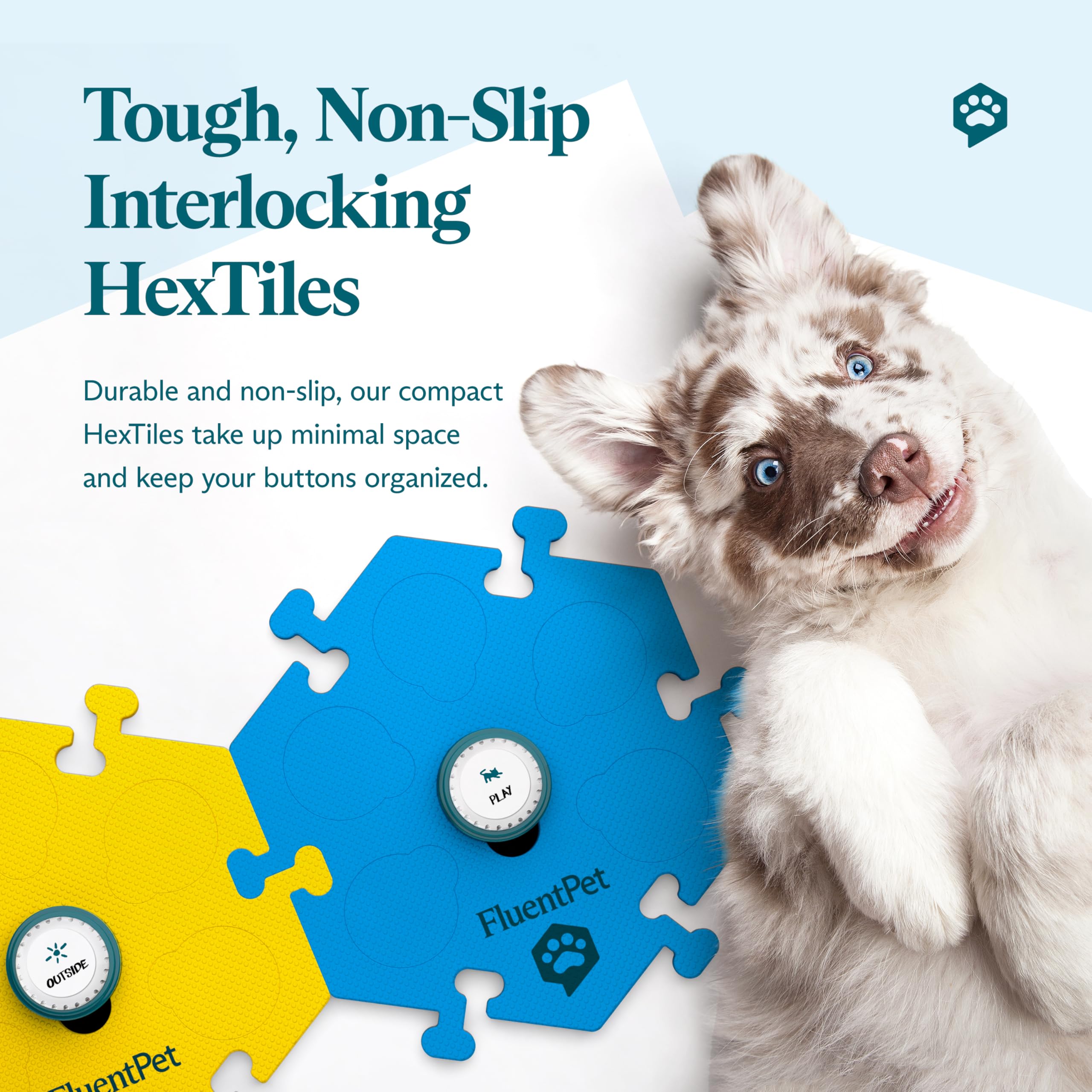 FluentPet chat utilisant un bouton prouvant accessibilité pour petits animaux