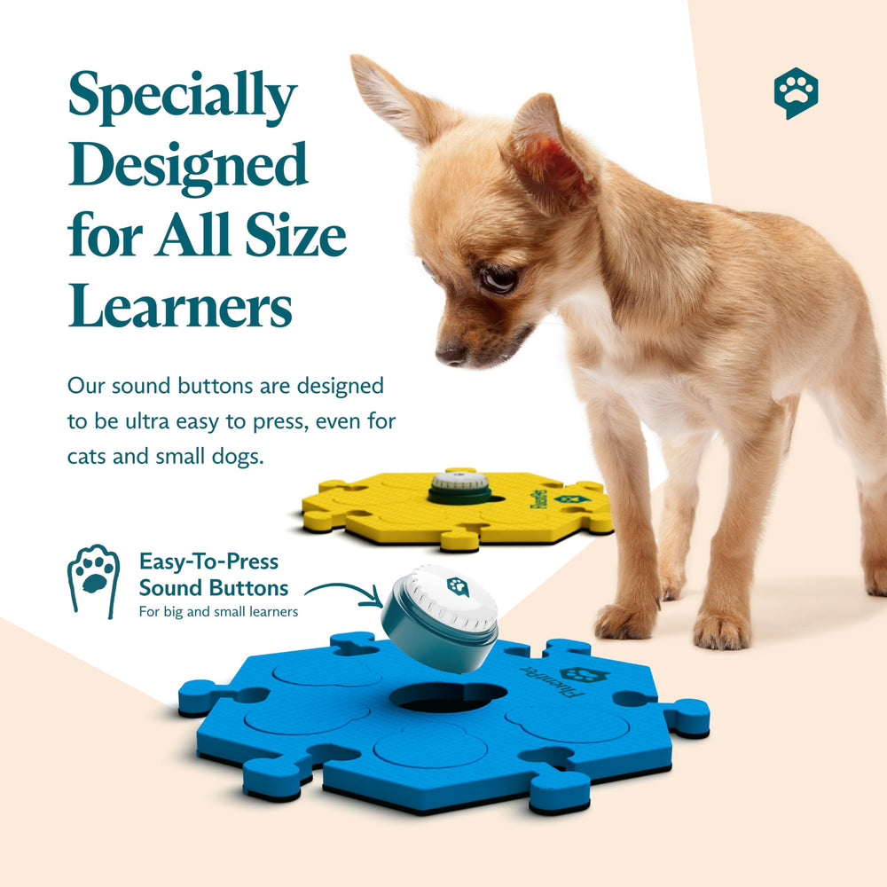 FluentPet chiot appuyant sur bouton montrant apprentissage facilité