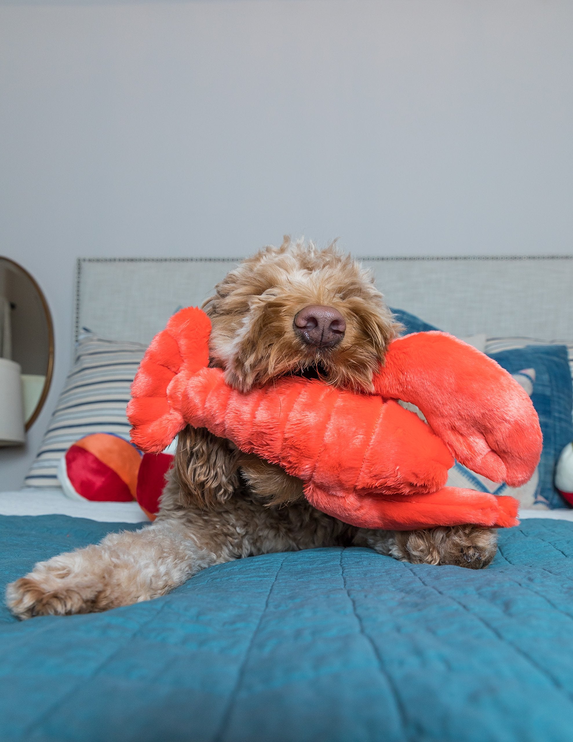 Fluff & Tuff Manny Lobster chien tenant la peluche par la queue, favorise le jeu doux