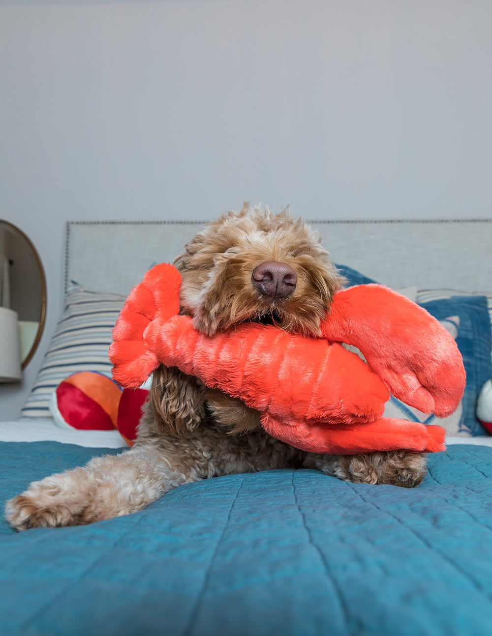 Fluff & Tuff Manny Lobster chien tenant la peluche par la queue, favorise le jeu doux