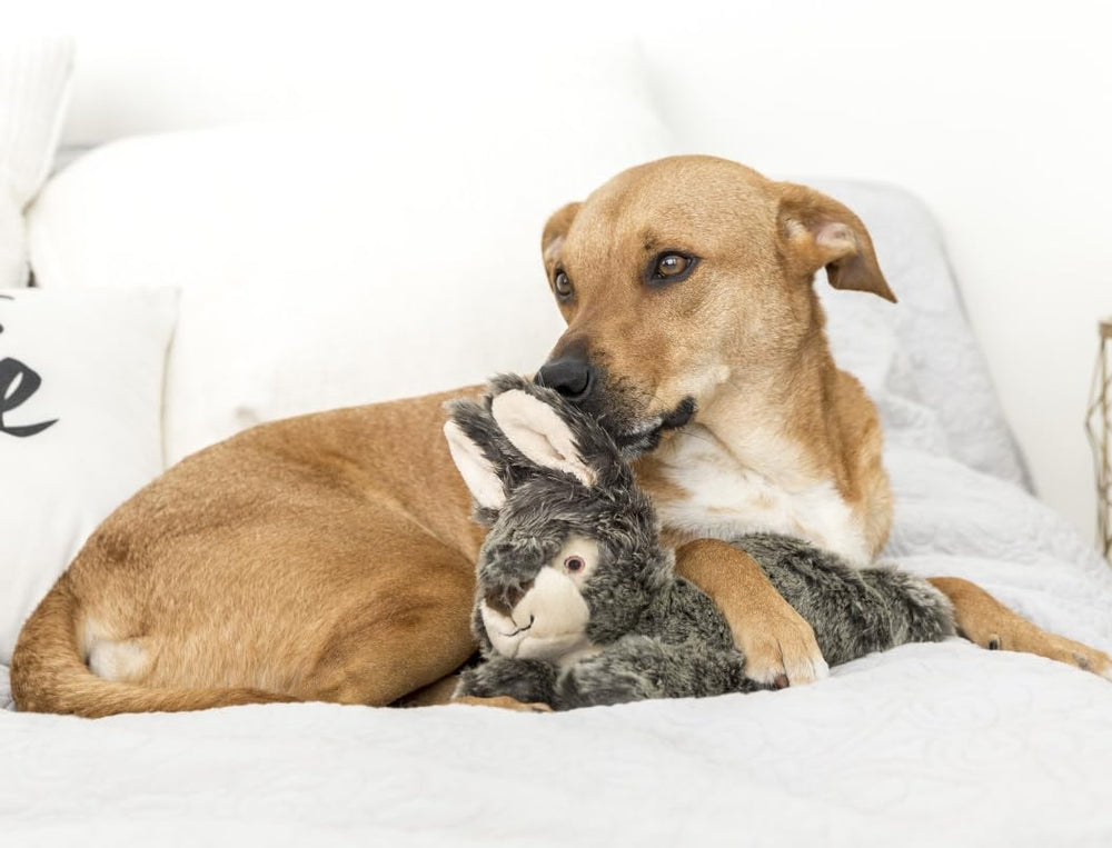 Fluff & Tuff Walter Wabbit emballage élégant prêt à offrir