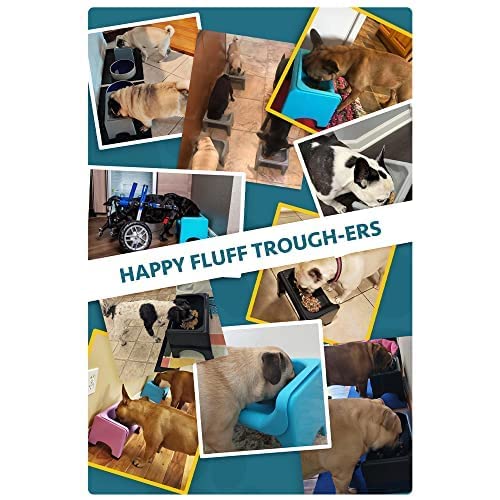 Fluff Trough bol rempli de croquettes avec insert puzzle pour manger lentement