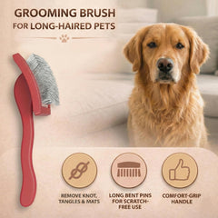 FluffyCare brosse en action sur un Goldendoodle pour un brossage rapide