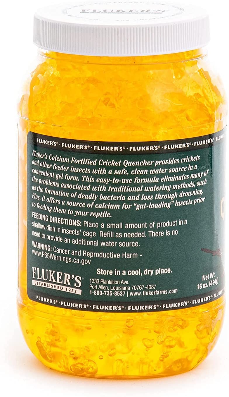 Fluker's coupelle avec gel dans une cage, hydrate grillons sans risque de noyade pour plus de propreté