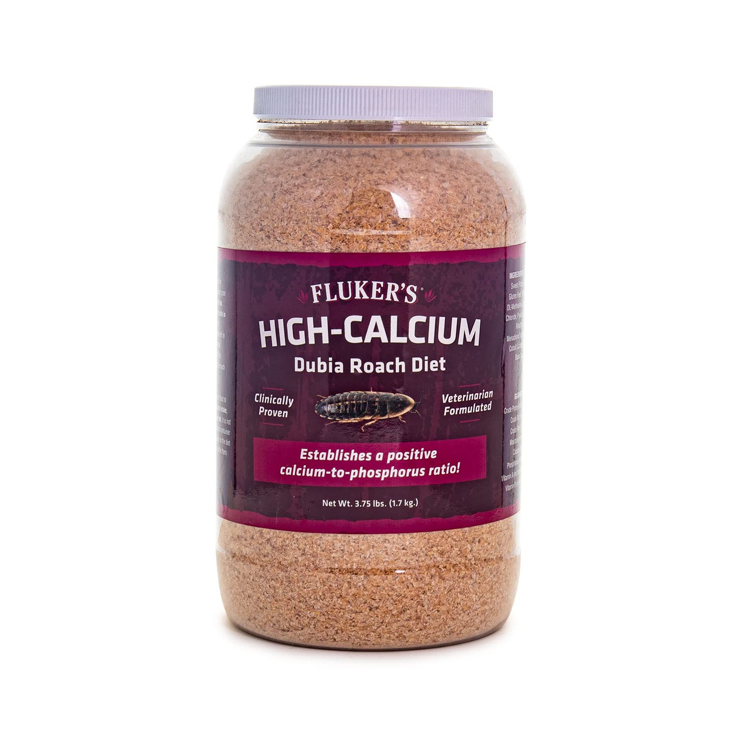 Fluker's texture gros plan illustrant granulométrie et absorption
