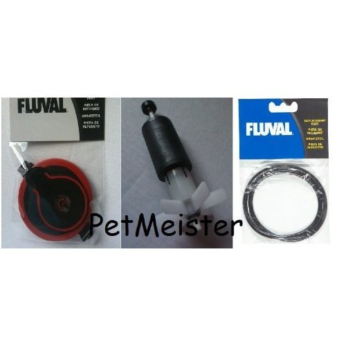 Fluval 406 montage en cours dans un aquarium pour maintenance efficace