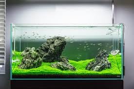 Fluval AquaClear 50 zoom sur mousse AquaClear pour rétention des débris