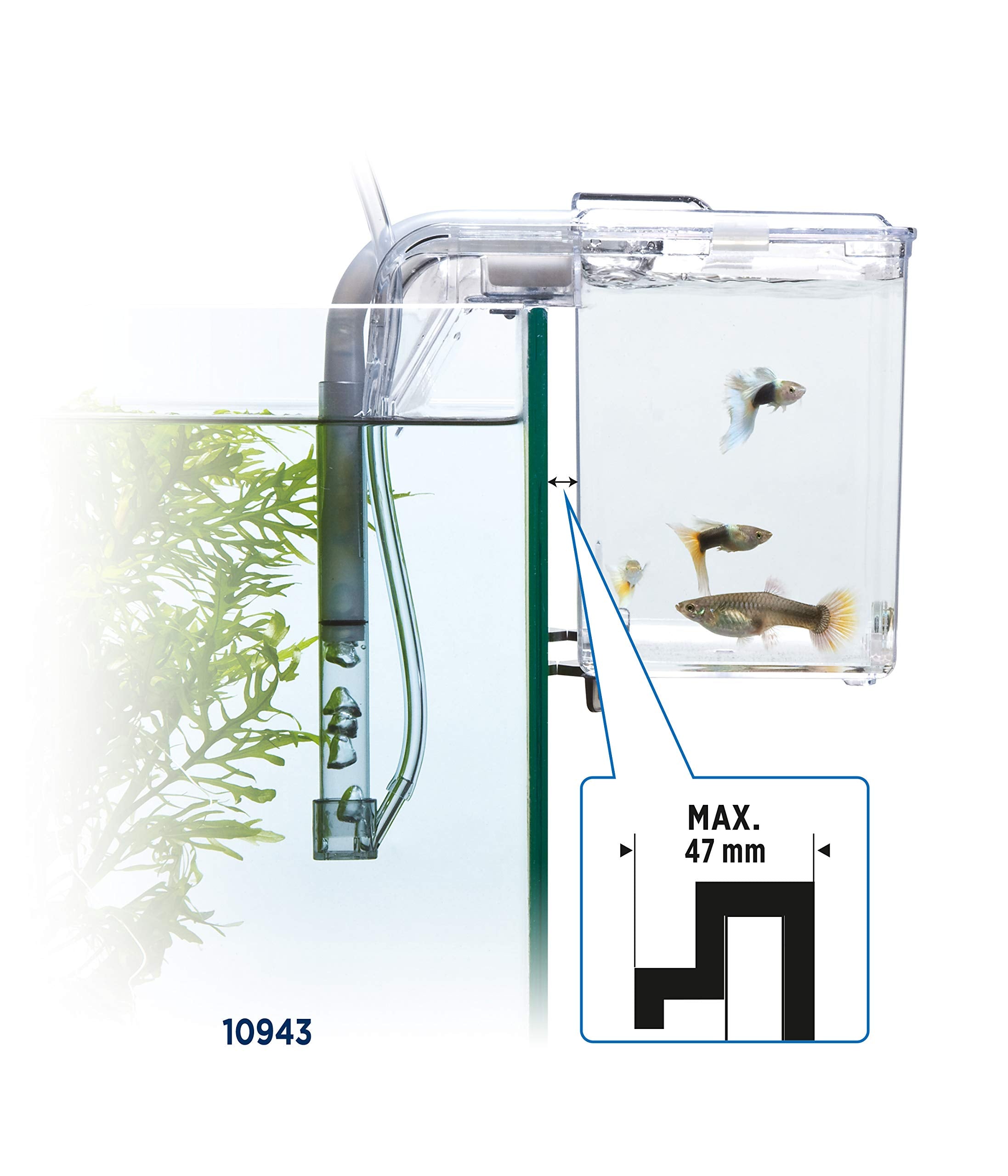 Fluval comparaison taille à la main montrant compacité et gain d'espace