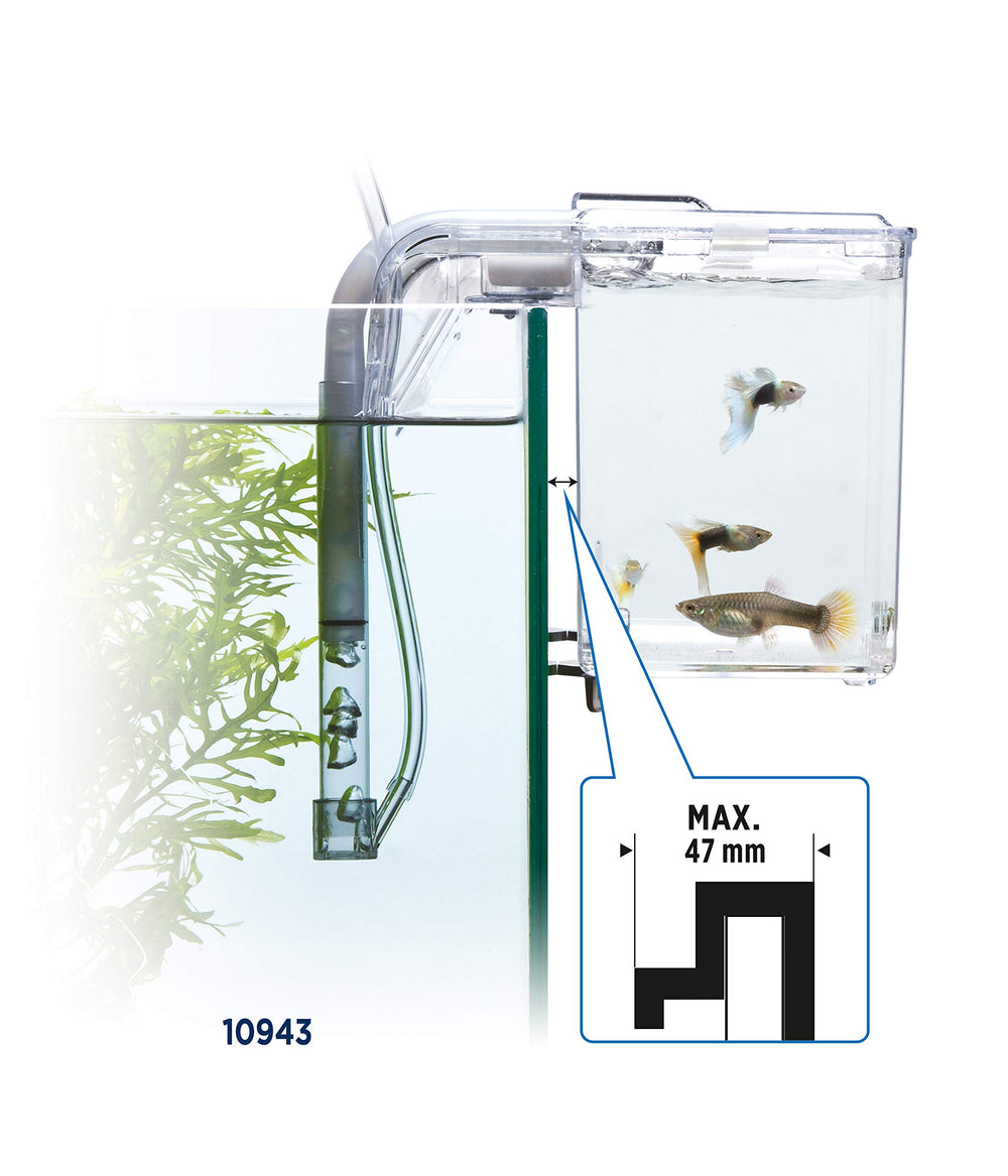 Fluval comparaison taille à la main montrant compacité et gain d'espace