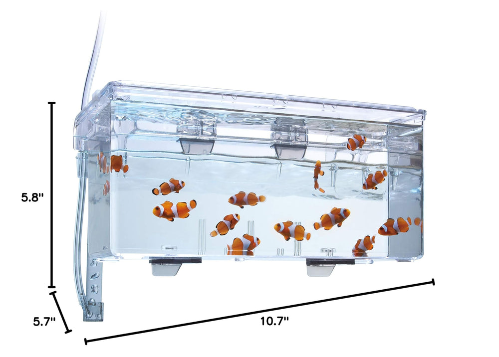 Fluval mise en scène dans aquarium de salon pour intégration esthétique