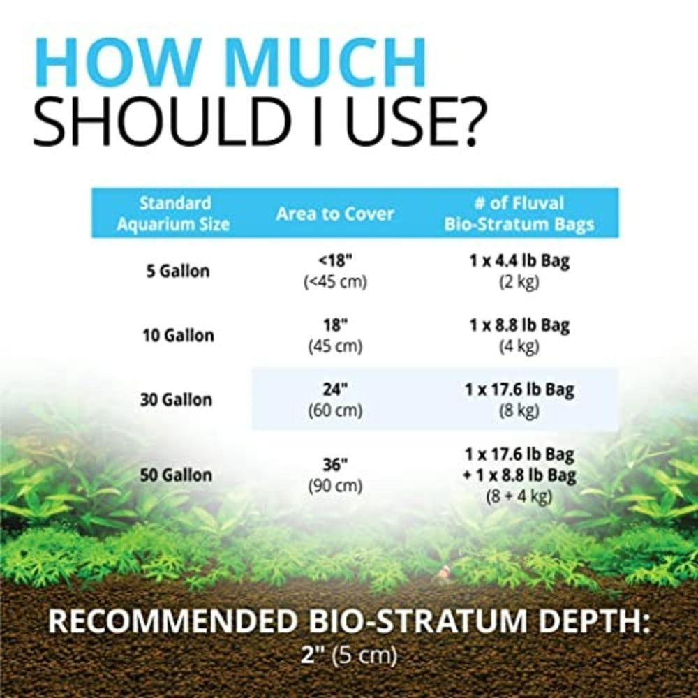 Fluval racines de plantes ancrées dans le Bio-Stratum montrant pénétration facile