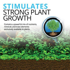 Texture poreuse Fluval Bio-Stratum favorisant colonisation bactérienne bénéfique
