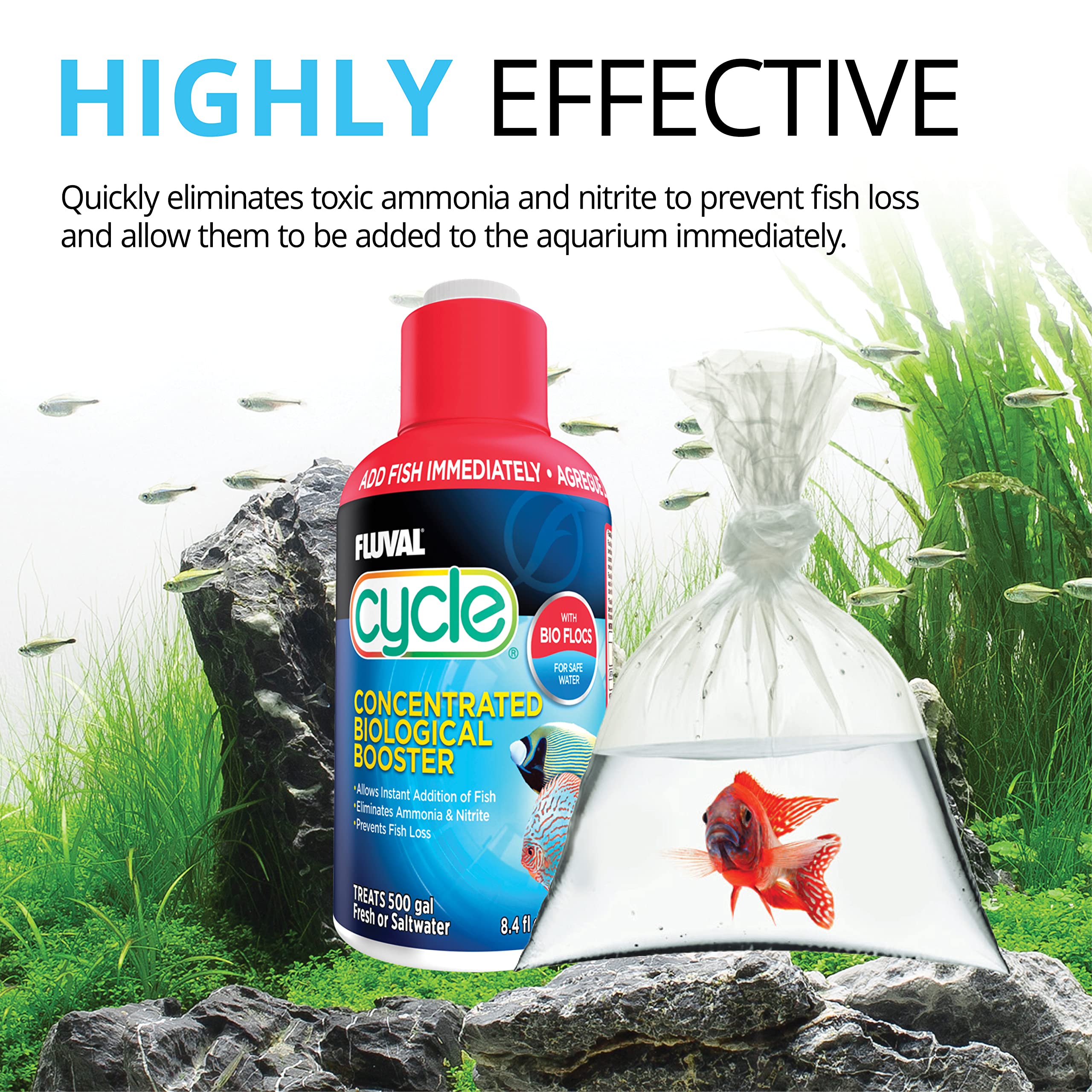 Fluval Cycle versé dans aquarium montrant action bénéfique immédiate
