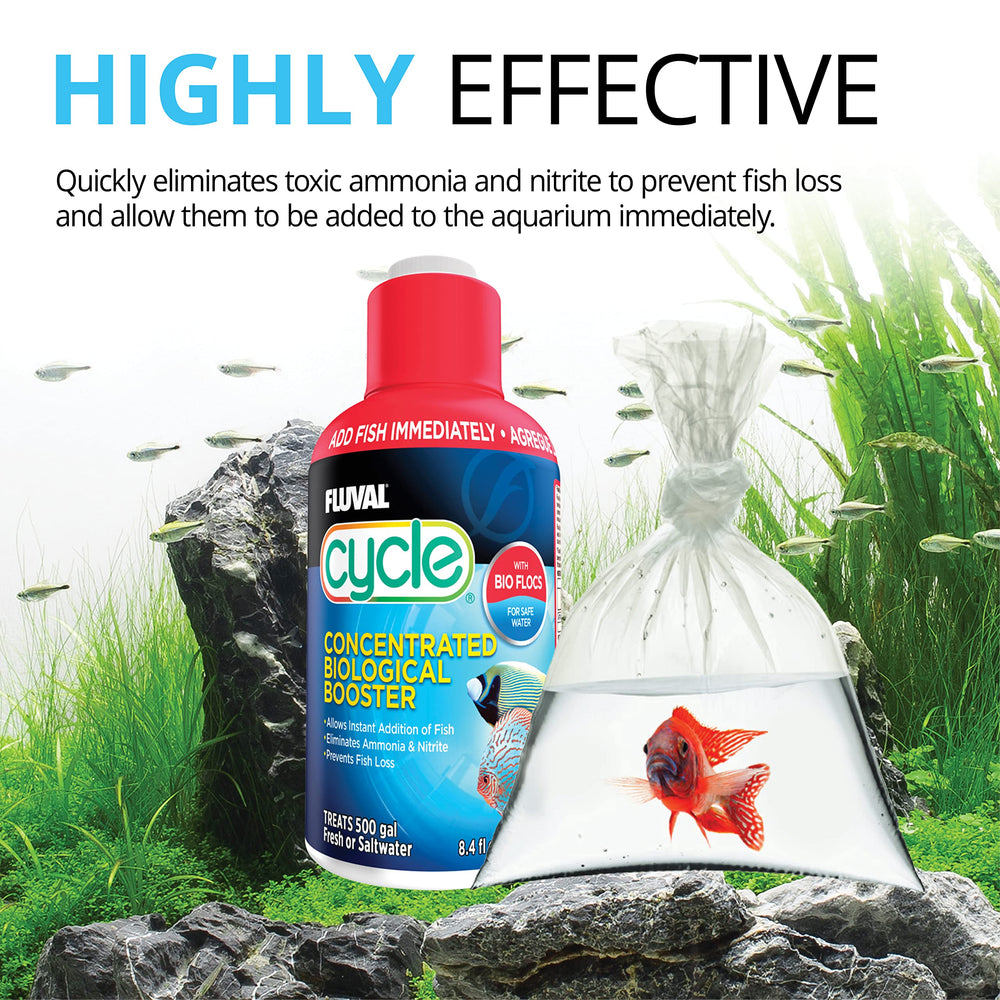 Fluval Cycle versé dans aquarium montrant action bénéfique immédiate
