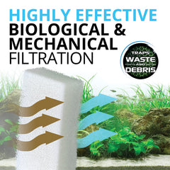 Avant et après nettoyage du bloc mousse Fluval montrant rétention des débris