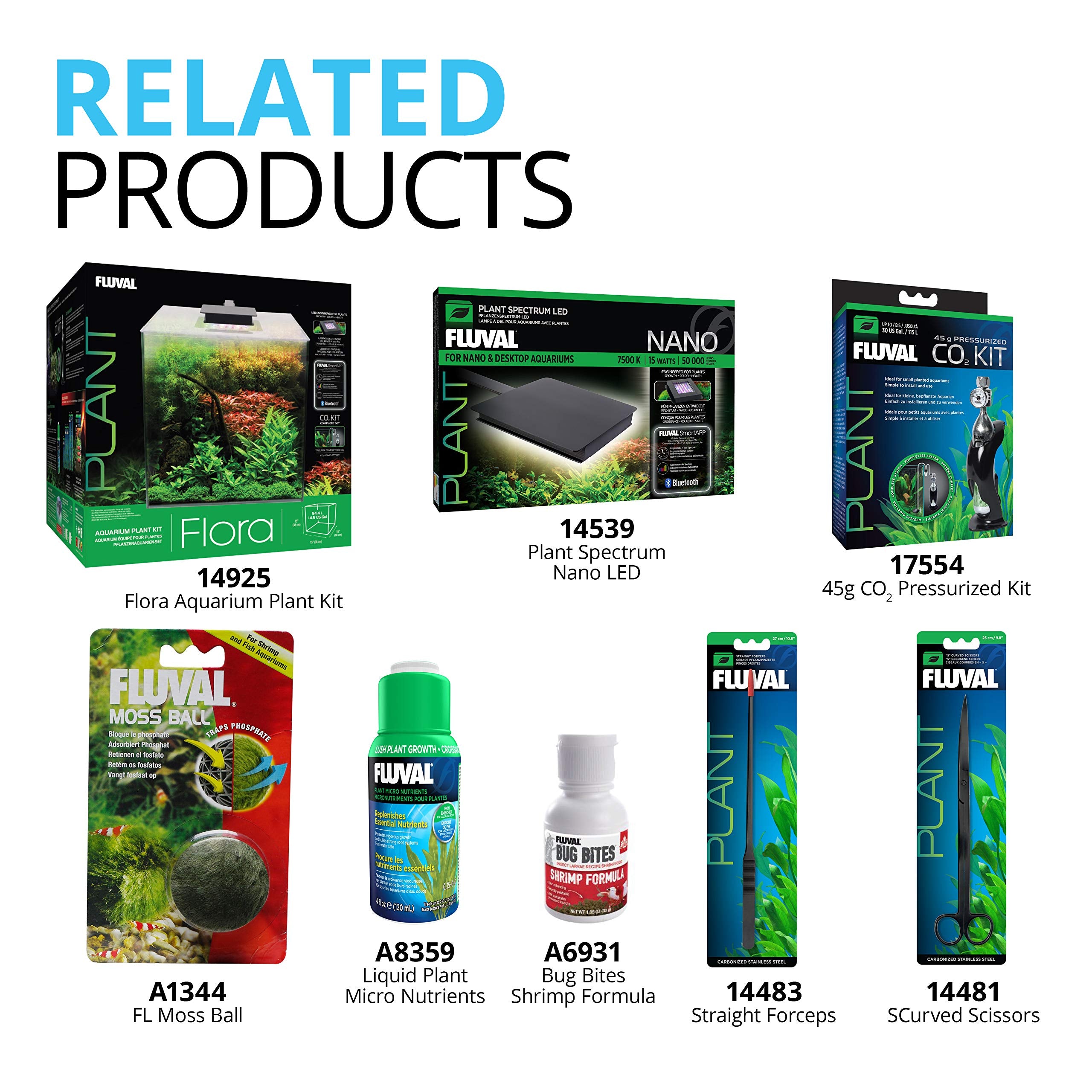 Fluval scène lifestyle aquarium planté illustrant esthétique et santé