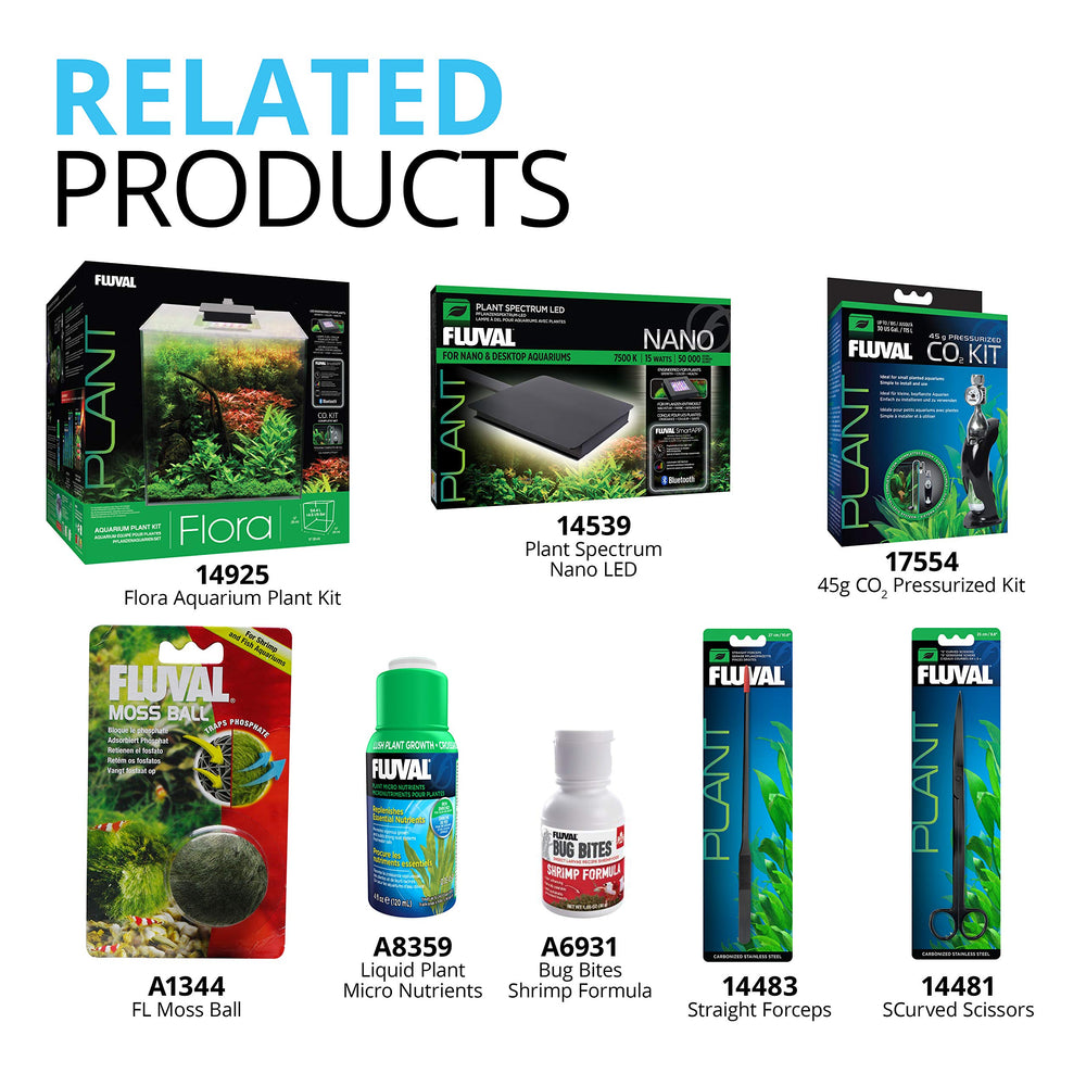 Fluval scène lifestyle aquarium planté illustrant esthétique et santé