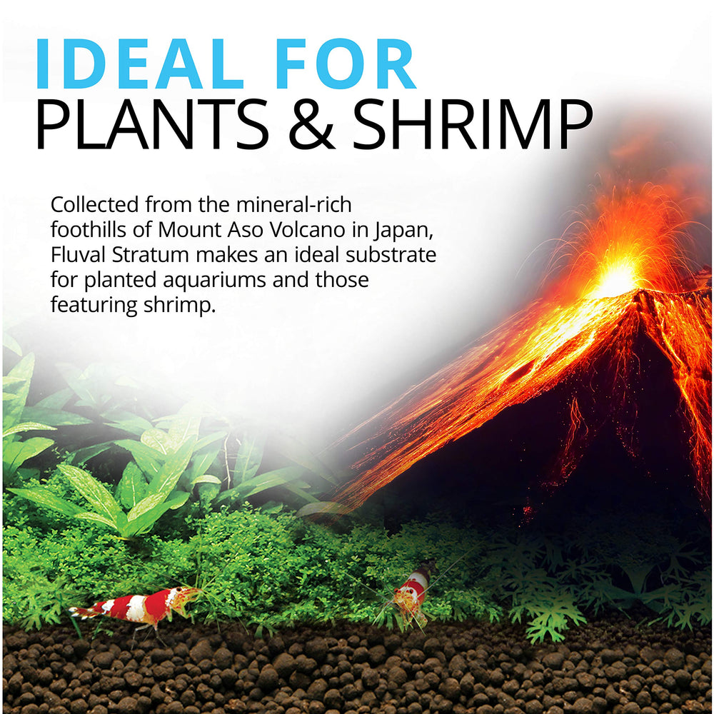 Fluval gros plan sur granulométrie montrant texture favorable aux racines
