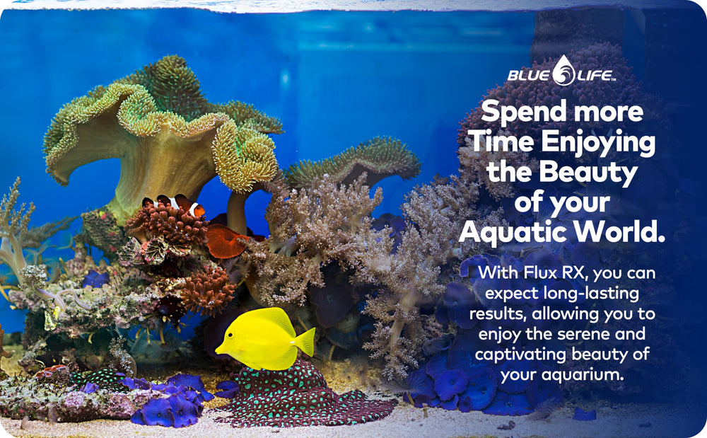 Flux Rx 7000mg mise en scène aquarium lifestyle présentant décor net et apaisant