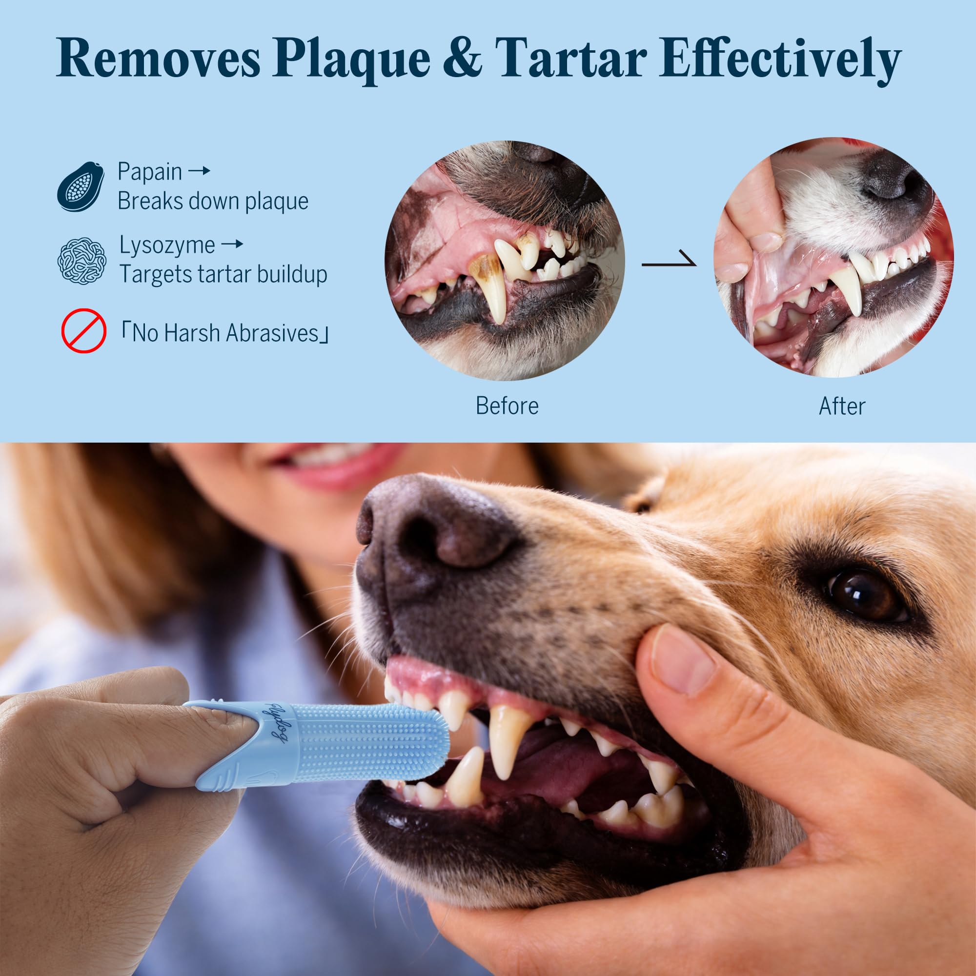 Flydog brosse 360° vue avant montrant nettoyage simultané et efficacité plaque