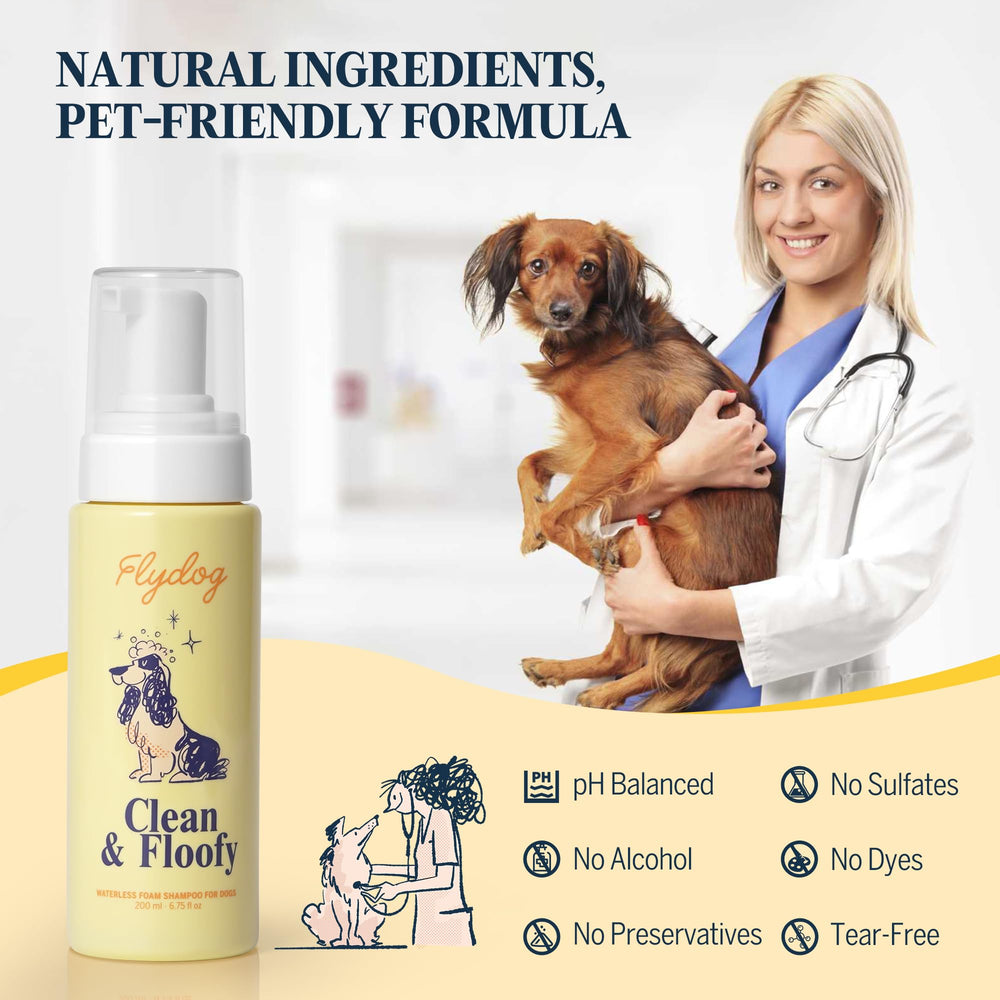Flydog chien en cours d'utilisation, rafraîchit sans bain ni stress