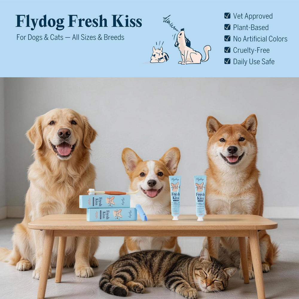 FlyDog étiquette ingrédients avec mention nano-HAp pour transparence produit