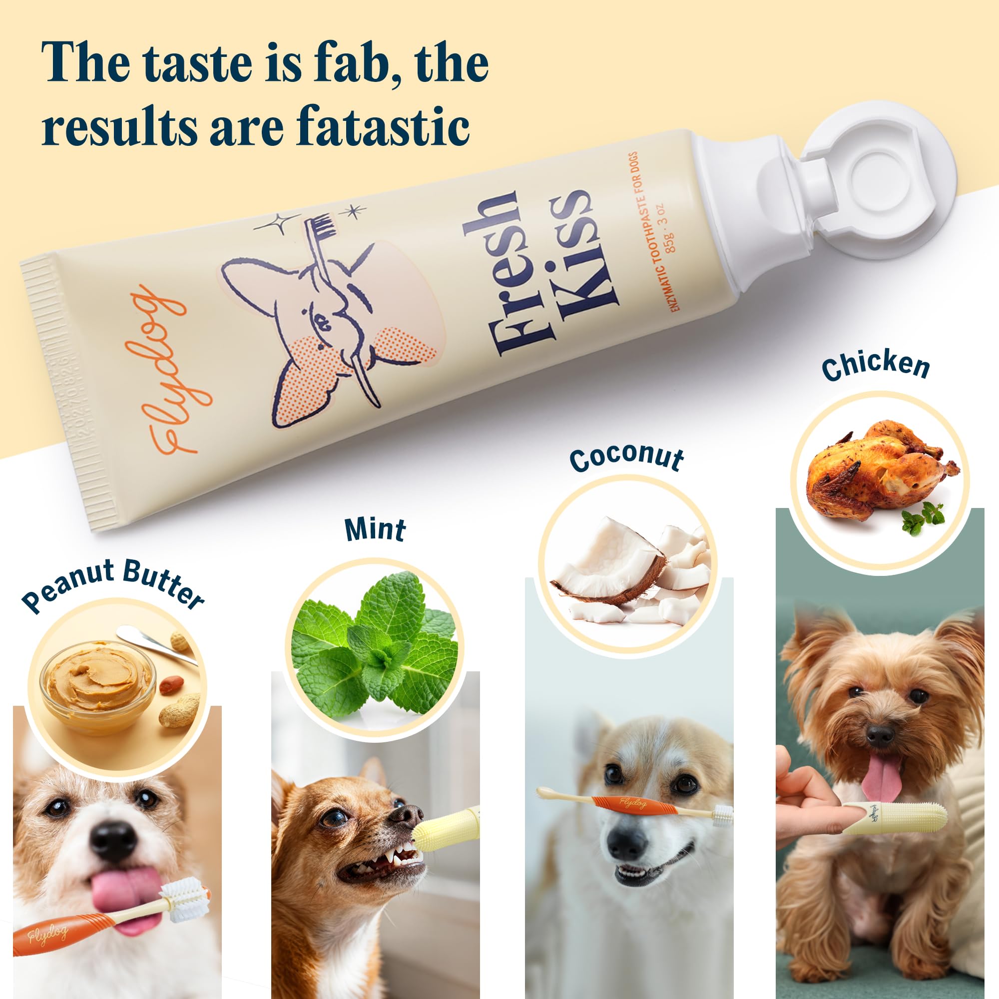 Flydog comparaison taille avec main illustre maniabilité pratique